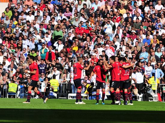 不仅仅因为 不仅仅因为